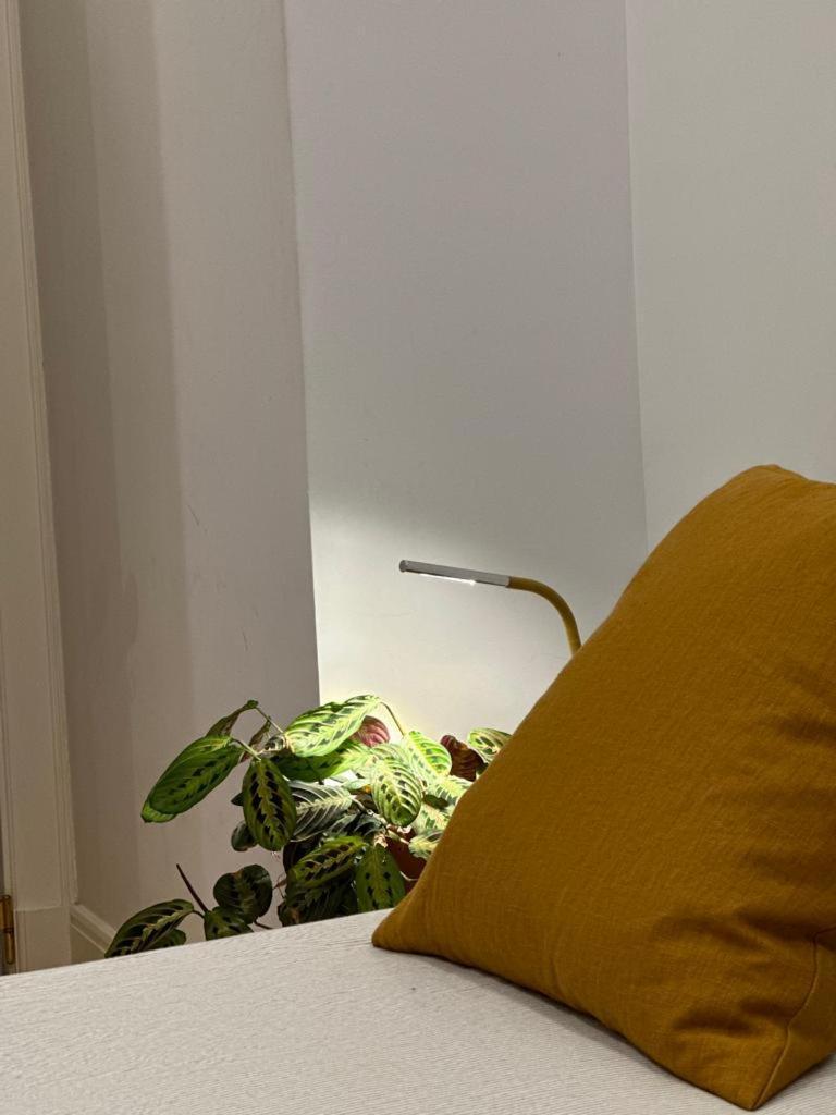 Apartment Apartamento Agradavel No Centro Historico De Lisbon